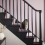 Seville House | Staircase | Interior Designers